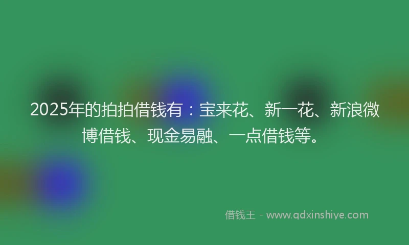 2025年的拍拍借钱有：宝来花、新一花、新浪微博借钱、现金易融、一点借钱等。