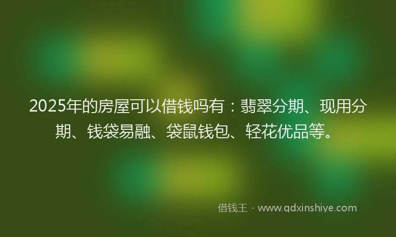 2025年的房屋可以借钱吗有：翡翠分期、现用分期、钱袋易融、袋鼠钱包、轻花优品等。