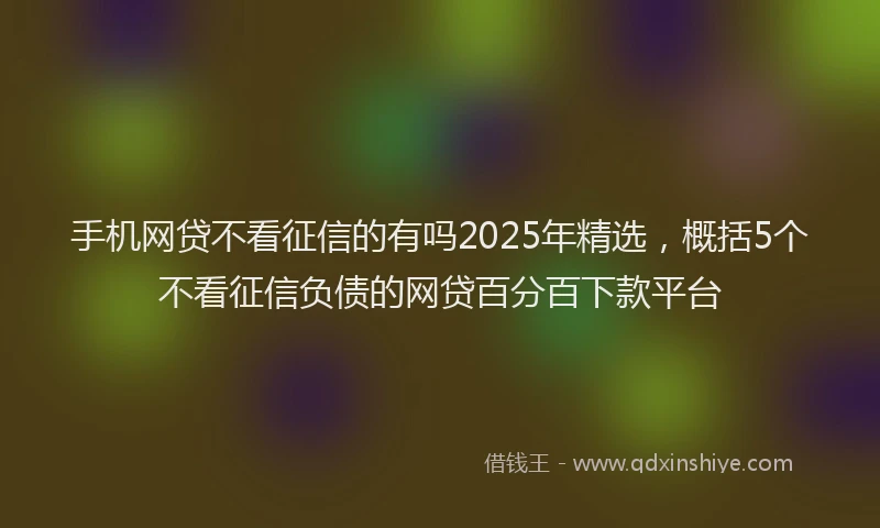 手机网贷不看征信的有吗2025年精选，概括5个不看征信负债的网贷百分百下款平台