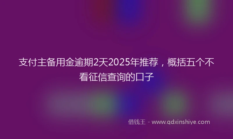 支付主备用金逾期2天2025年推荐，概括五个不看征信查询的口子