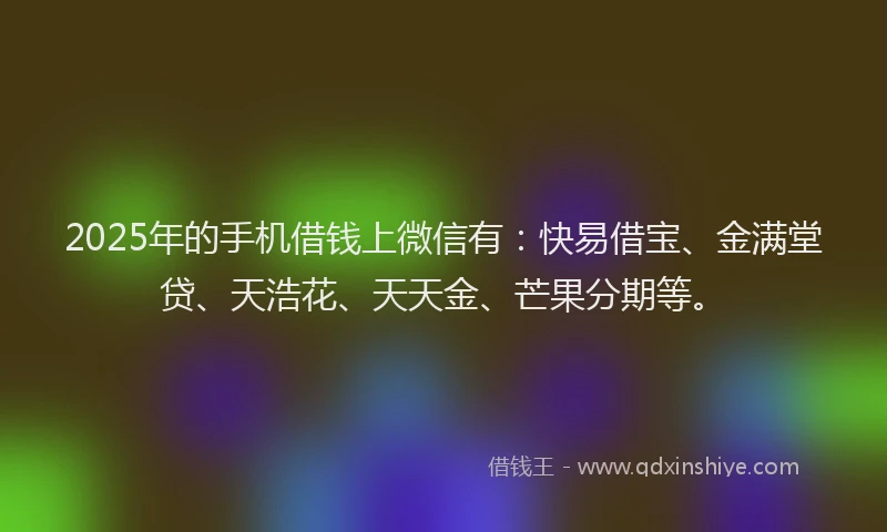 2025年的手机借钱上微信有：快易借宝、金满堂贷、天浩花、天天金、芒果分期等。
