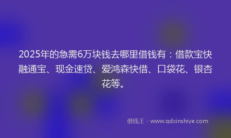 2025年的急需6万块钱去哪里借钱有：借款宝快融通宝、现金速贷、爱鸿森快借、口袋花、银杏花等。