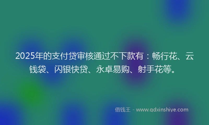 2025年的支付贷审核通过不下款有：畅行花、云钱袋、闪银快贷、永卓易购、射手花等。