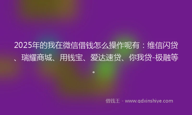 2025年的我在微信借钱怎么操作呢有：维信闪贷、瑞耀商城、用钱宝、爱达速贷、你我贷-极融等。
