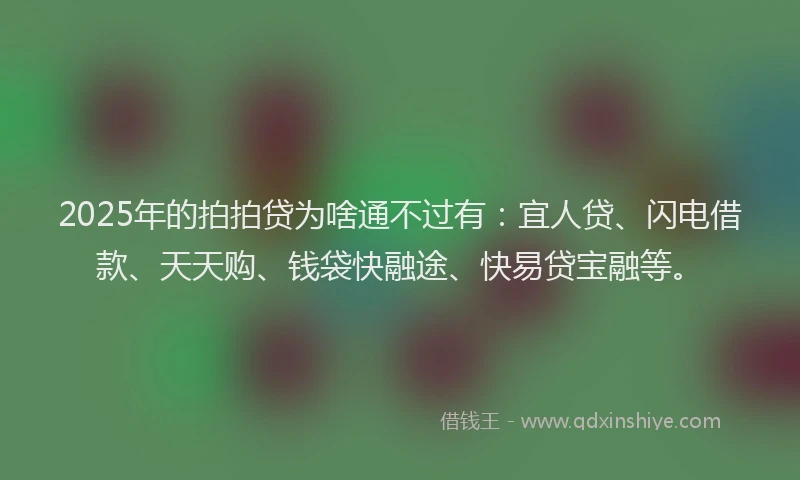 2025年的拍拍贷为啥通不过有：宜人贷、闪电借款、天天购、钱袋快融途、快易贷宝融等。