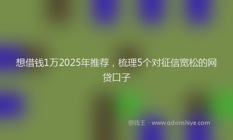 想借钱1万2025年推荐，梳理5个对征信宽松的网贷口子