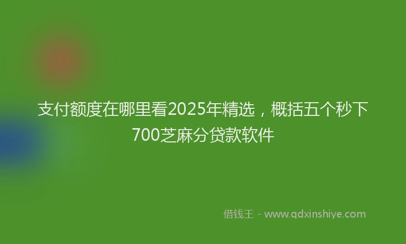 支付额度在哪里看2025年精选，概括五个秒下700芝麻分贷款软件