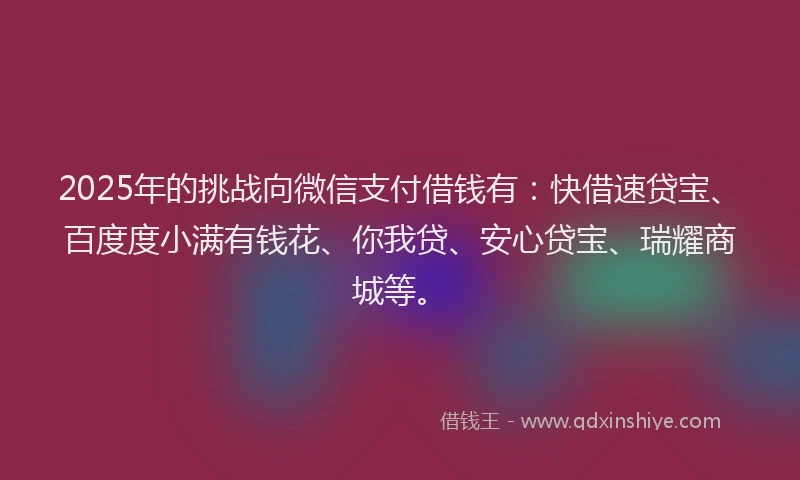 2025年的挑战向微信支付借钱有：快借速贷宝、百度度小满有钱花、你我贷、安心贷宝、瑞耀商城等。