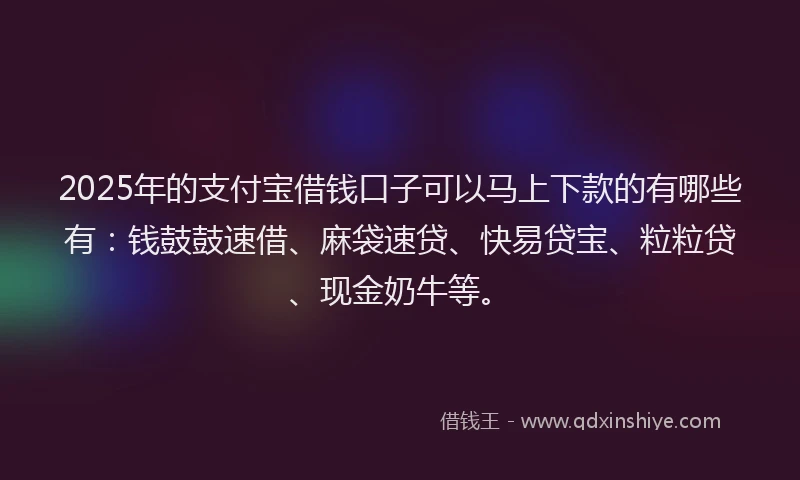2025年的支付宝借钱口子可以马上下款的有哪些有：钱鼓鼓速借、麻袋速贷、快易贷宝、粒粒贷、现金奶牛等。
