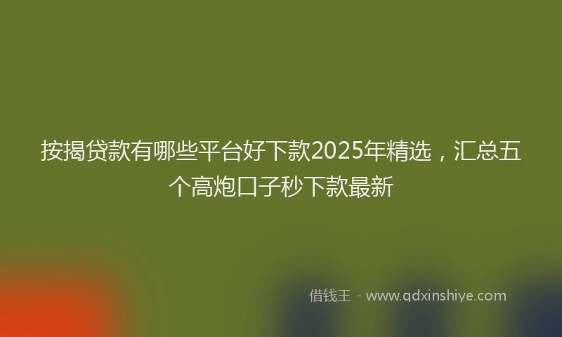 按揭贷款有哪些平台好下款2025年精选，汇总五个高炮口子秒下款最新