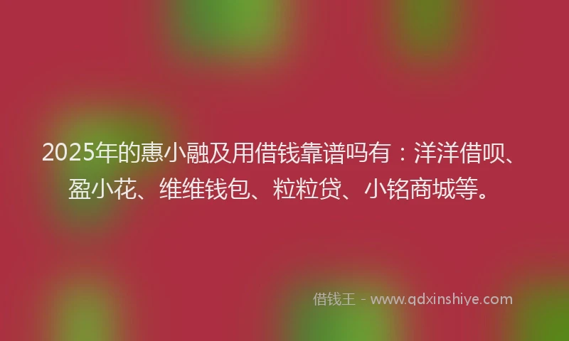 2025年的惠小融及用借钱靠谱吗有：洋洋借呗、盈小花、维维钱包、粒粒贷、小铭商城等。