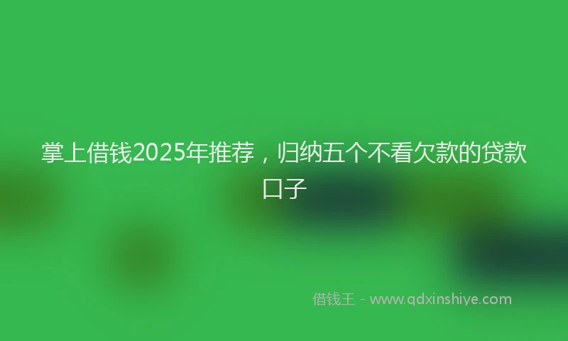 掌上借钱2025年推荐，归纳五个不看欠款的贷款口子
