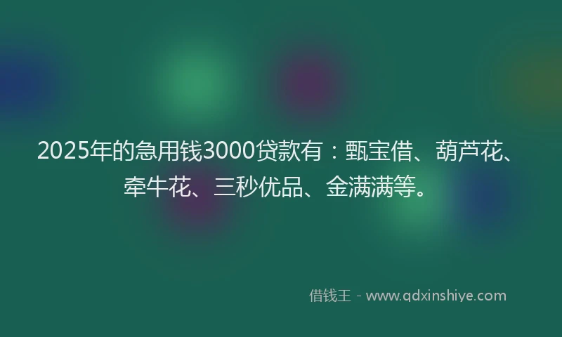 2025年的急用钱3000贷款有：甄宝借、葫芦花、牵牛花、三秒优品、金满满等。