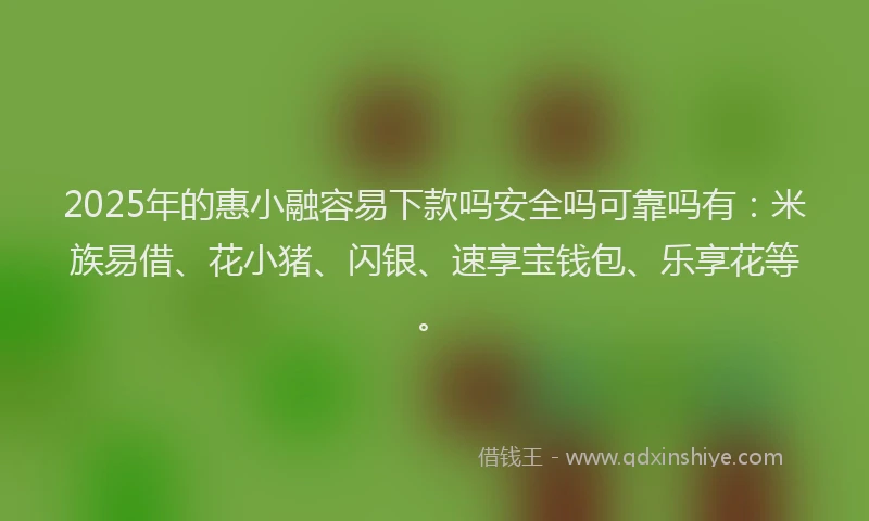 2025年的惠小融容易下款吗安全吗可靠吗有：米族易借、花小猪、闪银、速享宝钱包、乐享花等。