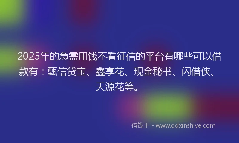 2025年的急需用钱不看征信的平台有哪些可以借款有：甄信贷宝、鑫享花、现金秘书、闪借侠、天源花等。