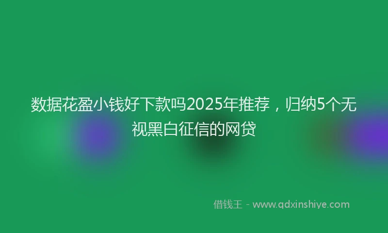 数据花盈小钱好下款吗2025年推荐，归纳5个无视黑白征信的网贷