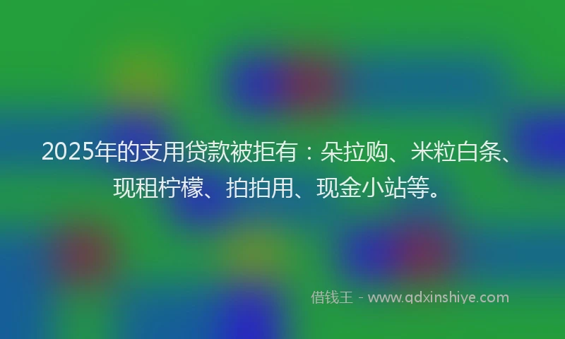 2025年的支用贷款被拒有：朵拉购、米粒白条、现租柠檬、拍拍用、现金小站等。