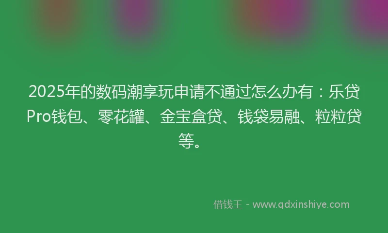 2025年的数码潮享玩申请不通过怎么办有：乐贷Pro钱包、零花罐、金宝盒贷、钱袋易融、粒粒贷等。