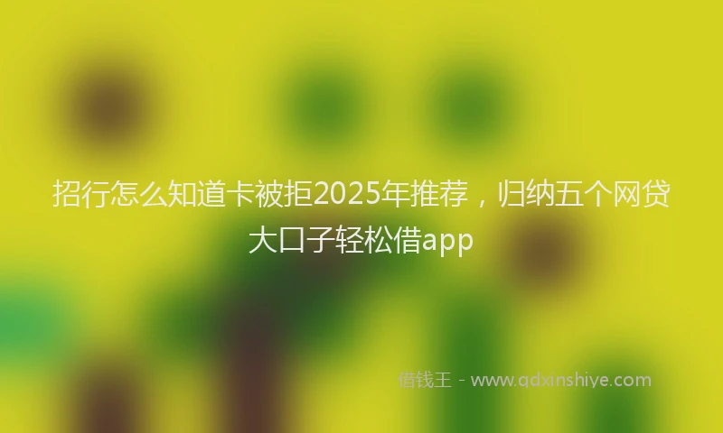 招行怎么知道卡被拒2025年推荐，归纳五个网贷大口子轻松借app