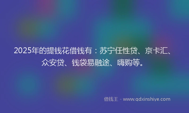 2025年的提钱花借钱有：苏宁任性贷、京卡汇、众安贷、钱袋易融途、嗨购等。