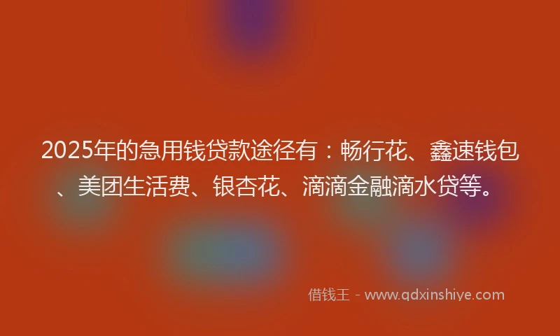 2025年的急用钱贷款途径有：畅行花、鑫速钱包、美团生活费、银杏花、滴滴金融滴水贷等。