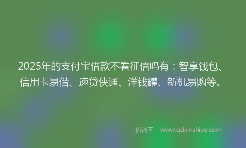 2025年的支付宝借款不看征信吗有：智享钱包、信用卡易借、速贷侠通、洋钱罐、新机易购等。