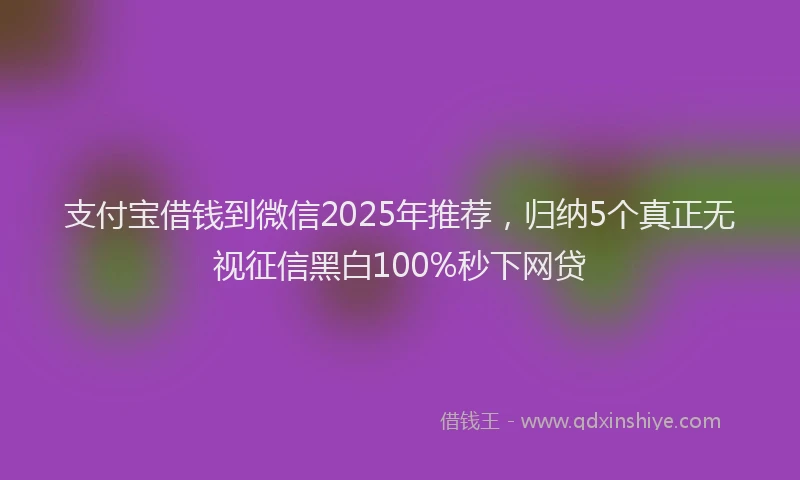 支付宝借钱到微信2025年推荐，归纳5个真正无视征信黑白100%秒下网贷