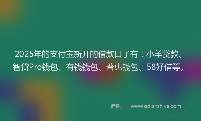 2025年的支付宝新开的借款口子有：小羊贷款、智贷Pro钱包、有钱钱包、普惠钱包、58好借等。