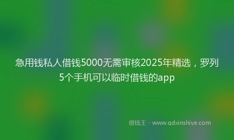 急用钱私人借钱5000无需审核2025年精选，罗列5个手机可以临时借钱的app