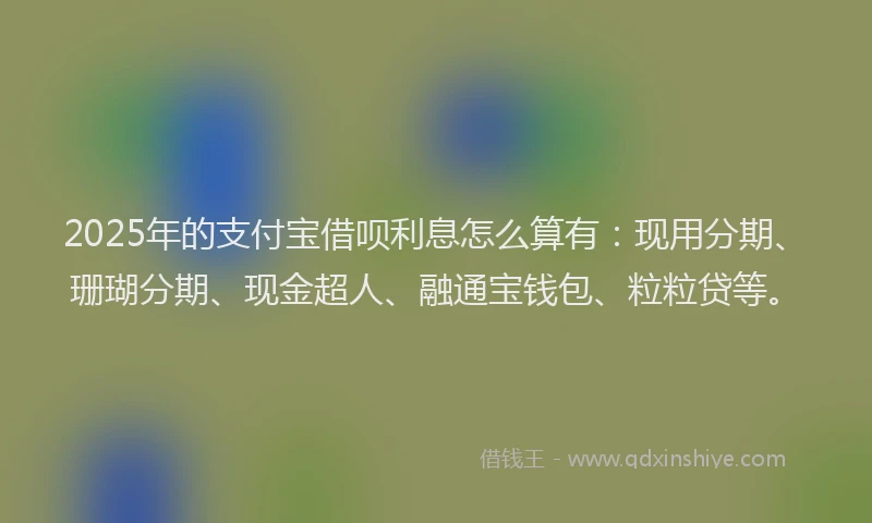 2025年的支付宝借呗利息怎么算有：现用分期、珊瑚分期、现金超人、融通宝钱包、粒粒贷等。