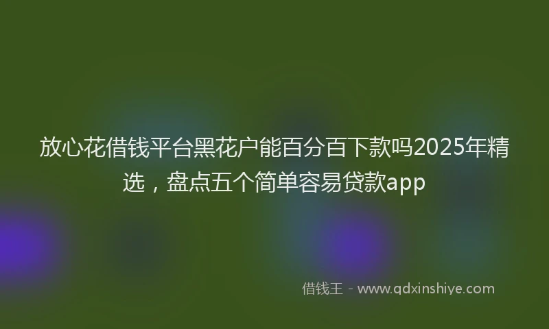 放心花借钱平台黑花户能百分百下款吗2025年精选，盘点五个简单容易贷款app