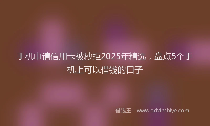 手机申请信用卡被秒拒2025年精选，盘点5个手机上可以借钱的口子