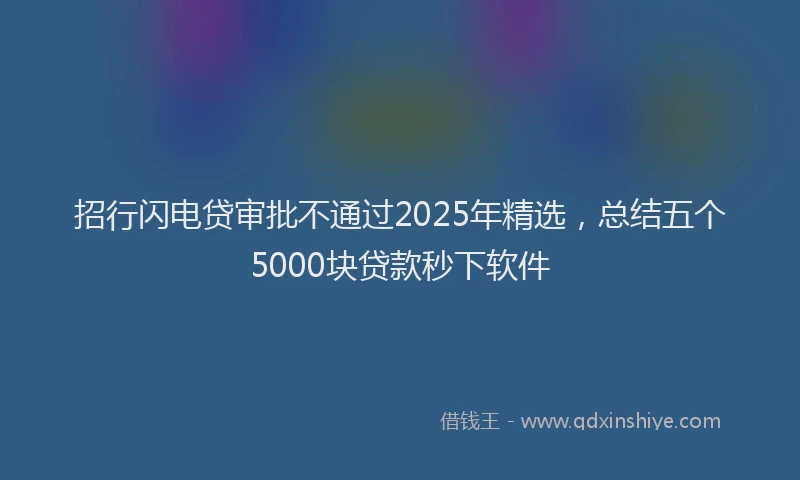 招行闪电贷审批不通过2025年精选，总结五个5000块贷款秒下软件
