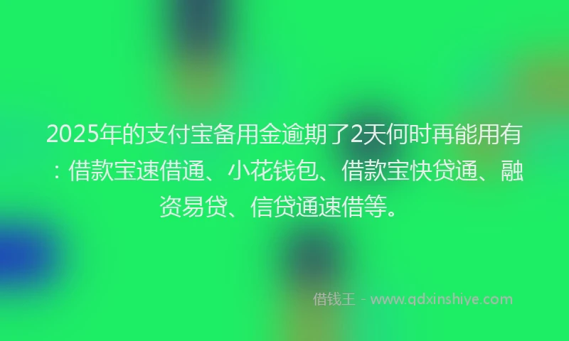 2025年的支付宝备用金逾期了2天何时再能用有：借款宝速借通、小花钱包、借款宝快贷通、融资易贷、信贷通速借等。