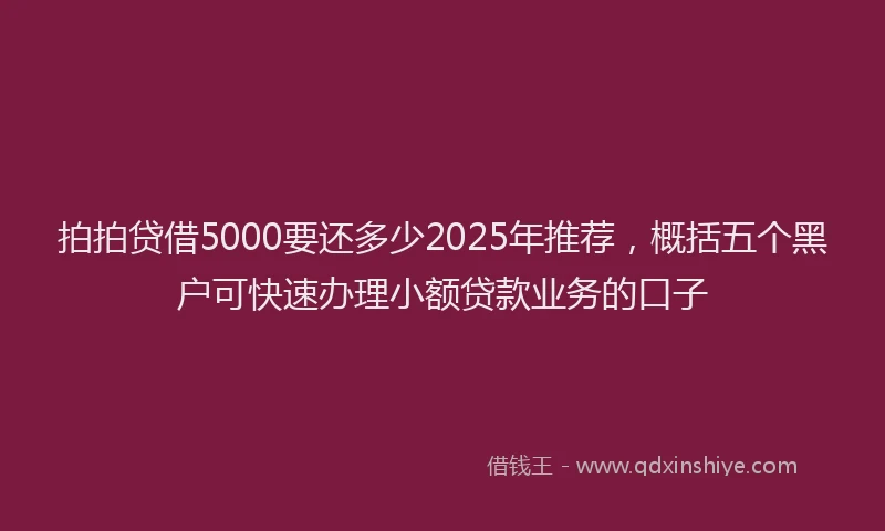 拍拍贷借5000要还多少2025年推荐，概括五个黑户可快速办理小额贷款业务的口子