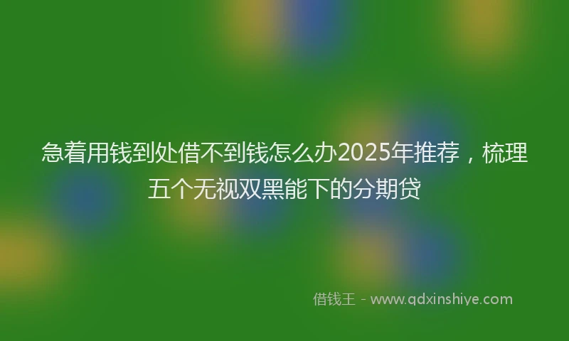 急着用钱到处借不到钱怎么办2025年推荐，梳理五个无视双黑能下的分期贷