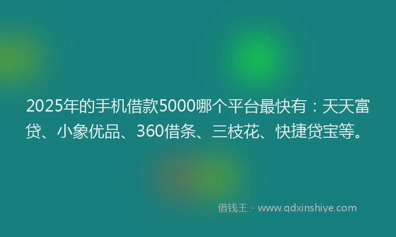2025年的手机借款5000哪个平台最快有：天天富贷、小象优品、360借条、三枝花、快捷贷宝等。