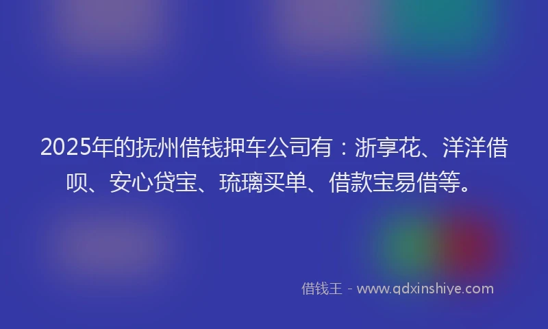 2025年的抚州借钱押车公司有：浙享花、洋洋借呗、安心贷宝、琉璃买单、借款宝易借等。