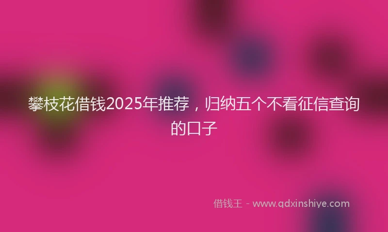 攀枝花借钱2025年推荐，归纳五个不看征信查询的口子