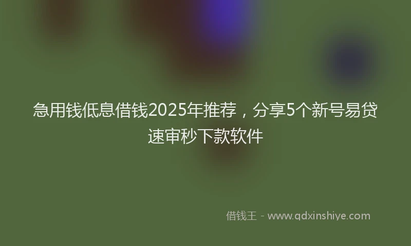 急用钱低息借钱2025年推荐，分享5个新号易贷速审秒下款软件