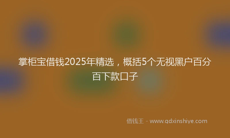 掌柜宝借钱2025年精选，概括5个无视黑户百分百下款口子