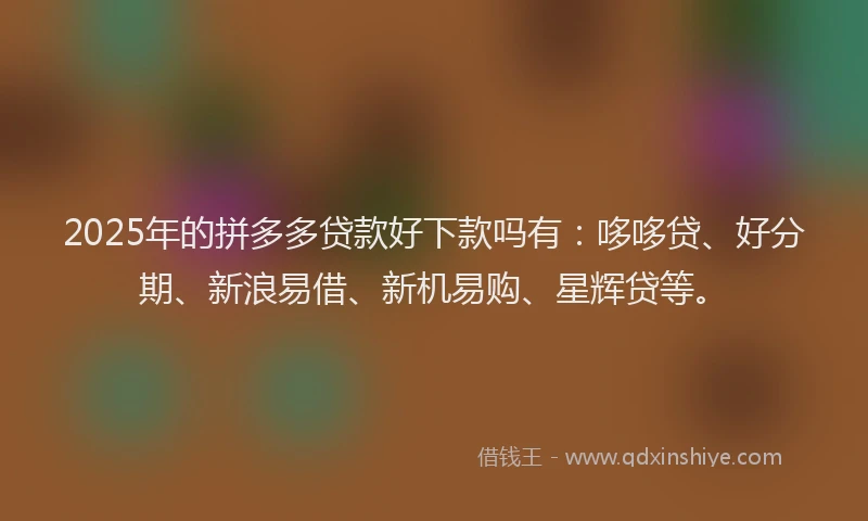 2025年的拼多多贷款好下款吗有：哆哆贷、好分期、新浪易借、新机易购、星辉贷等。