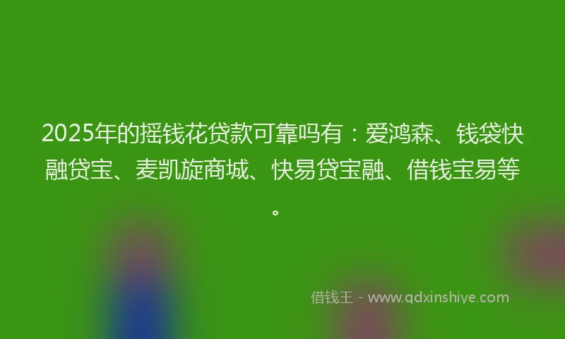 2025年的摇钱花贷款可靠吗有：爱鸿森、钱袋快融贷宝、麦凯旋商城、快易贷宝融、借钱宝易等。