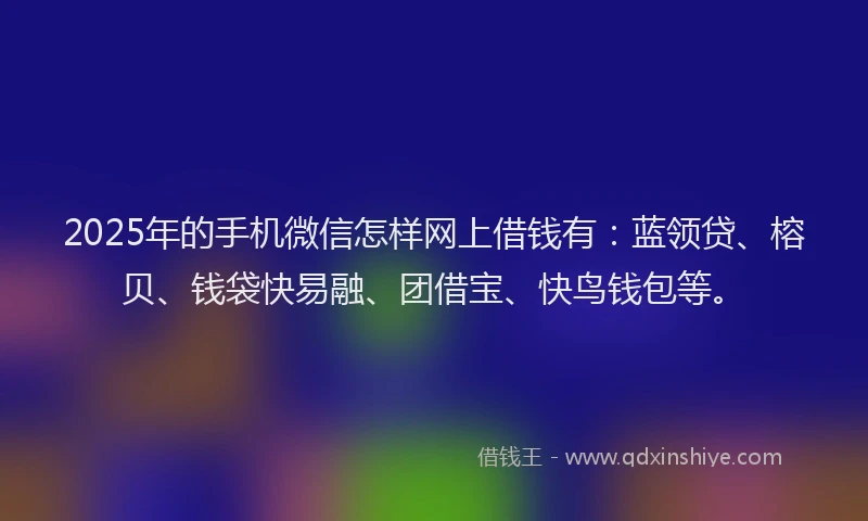 2025年的手机微信怎样网上借钱有：蓝领贷、榕贝、钱袋快易融、团借宝、快鸟钱包等。