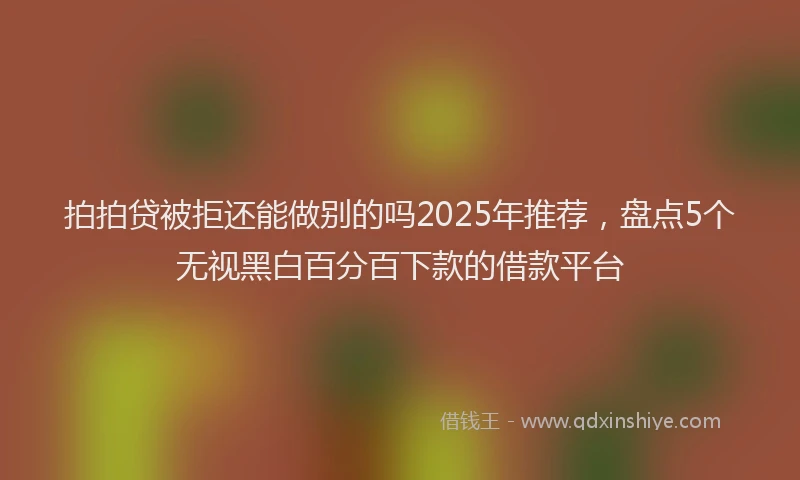 拍拍贷被拒还能做别的吗2025年推荐，盘点5个无视黑白百分百下款的借款平台