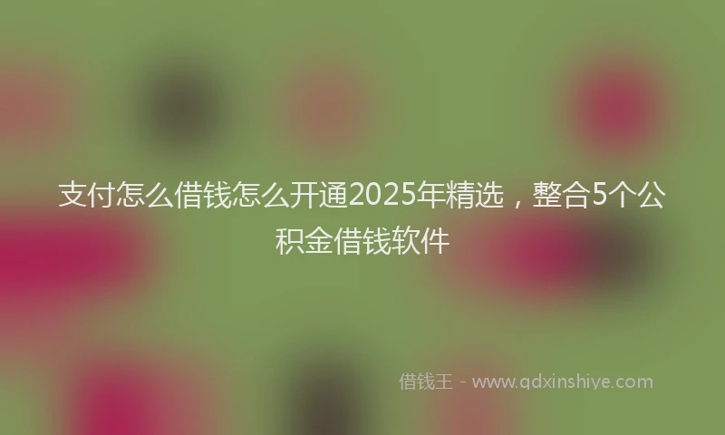 支付怎么借钱怎么开通2025年精选，整合5个公积金借钱软件