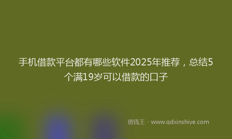 手机借款平台都有哪些软件2025年推荐，总结5个满19岁可以借款的口子