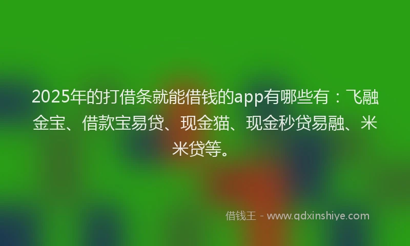 2025年的打借条就能借钱的app有哪些有：飞融金宝、借款宝易贷、现金猫、现金秒贷易融、米米贷等。