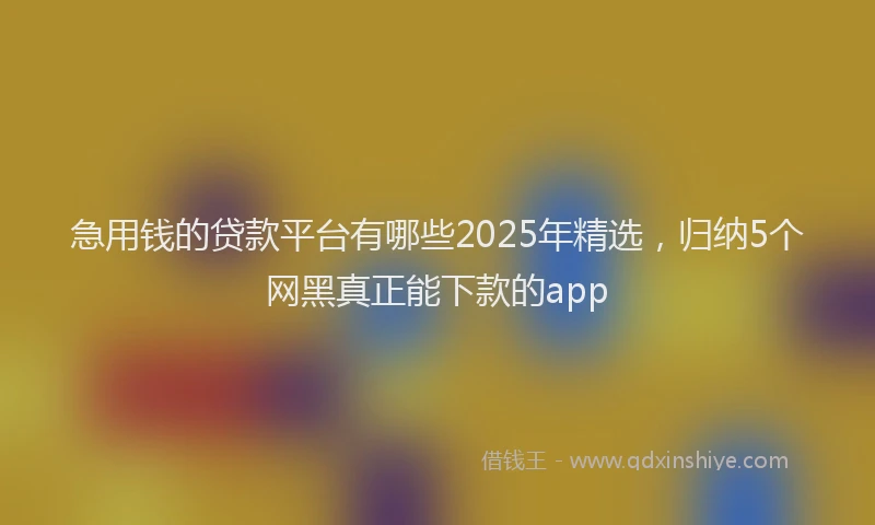 急用钱的贷款平台有哪些2025年精选，归纳5个网黑真正能下款的app
