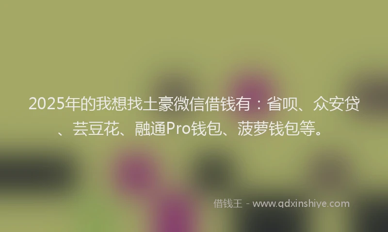 2025年的我想找土豪微信借钱有：省呗、众安贷、芸豆花、融通Pro钱包、菠萝钱包等。